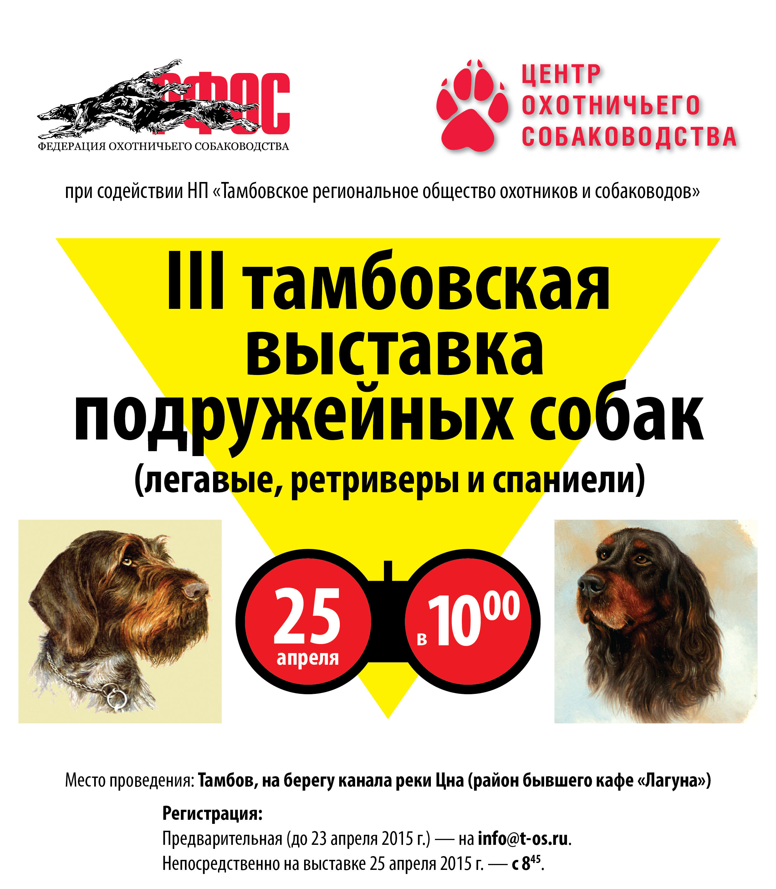 В Тамбове пройдет выставка подружейных собак